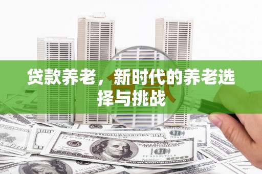 盘县贷款养老，新时代的养老选择与挑战