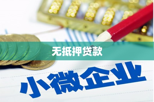 盘县无抵押贷款