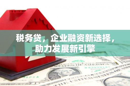 盘县税务贷，企业融资新选择，助力发展新引擎