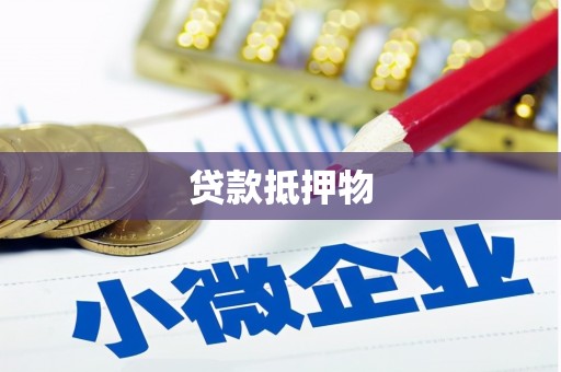 盘县贷款抵押物