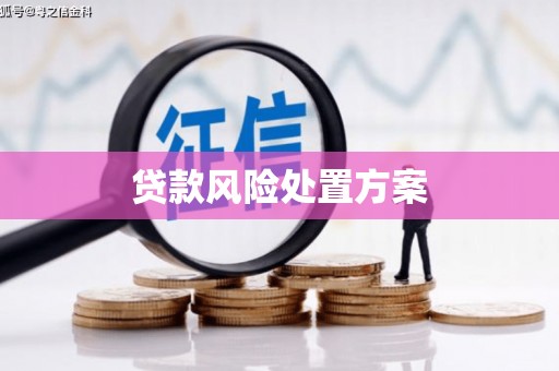 盘县贷款风险处置方案