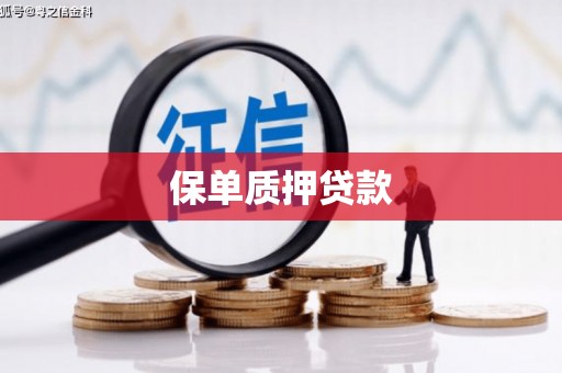 盘县保单质押贷款