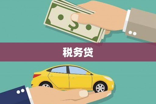 盘县税务贷
