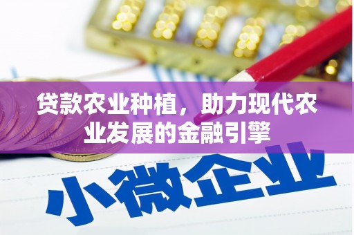 盘县贷款农业种植，助力现代农业发展的金融引擎