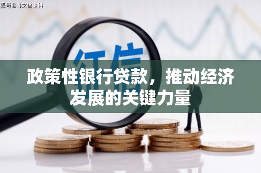 盘县政策性银行贷款，推动经济发展的关键力量