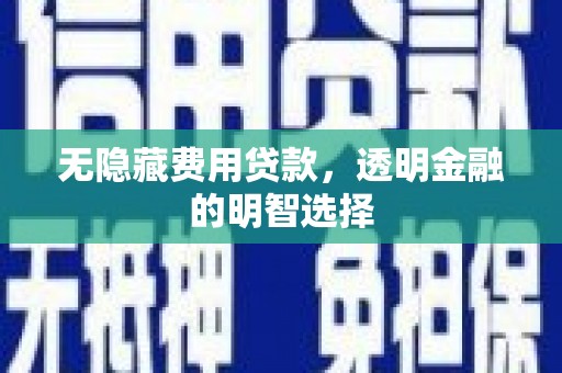 盘县无隐藏费用贷款，透明金融的明智选择