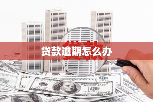 盘县贷款逾期怎么办