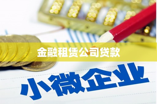 盘县金融租赁公司贷款