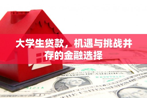 盘县大学生贷款，机遇与挑战并存的金融选择