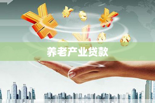 盘县养老产业贷款