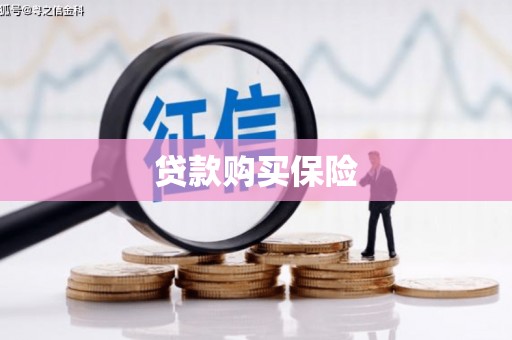 盘县贷款购买保险