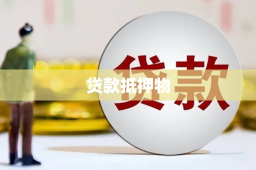盘县贷款抵押物
