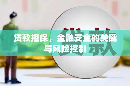 盘县贷款担保，金融安全的关键与风险控制