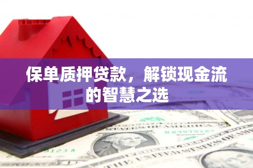盘县保单质押贷款，解锁现金流的智慧之选