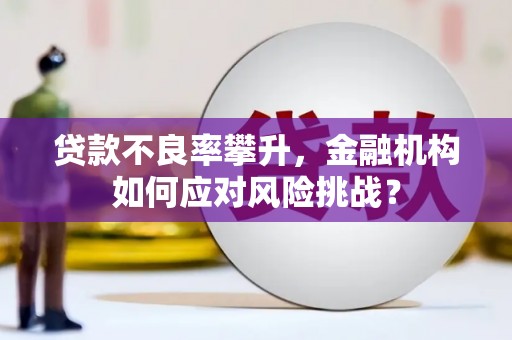 盘县贷款不良率攀升，金融机构如何应对风险挑战？