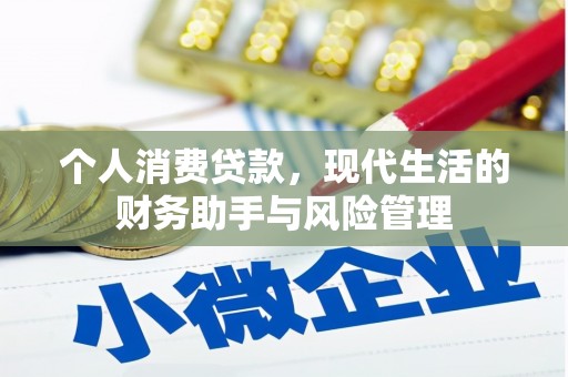 盘县个人消费贷款，现代生活的财务助手与风险管理