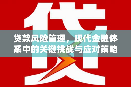 盘县贷款风险管理，现代金融体系中的关键挑战与应对策略