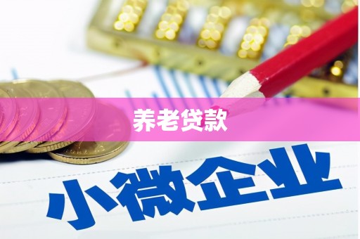 盘县养老贷款