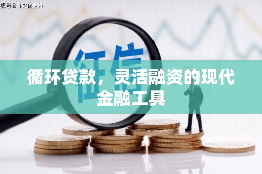 盘县循环贷款，灵活融资的现代金融工具