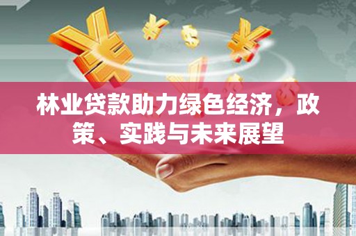 盘县林业贷款助力绿色经济，政策、实践与未来展望