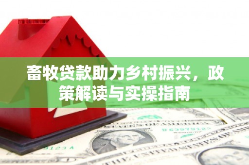 盘县畜牧贷款助力乡村振兴，政策解读与实操指南