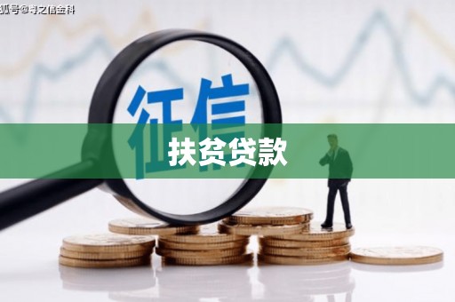 盘县扶贫贷款