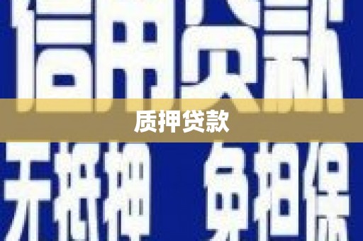 盘县质押贷款