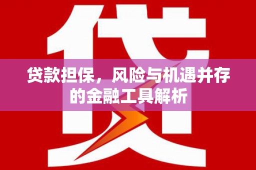 盘县贷款担保，风险与机遇并存的金融工具解析