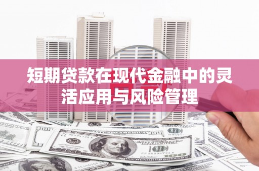 盘县短期贷款在现代金融中的灵活应用与风险管理