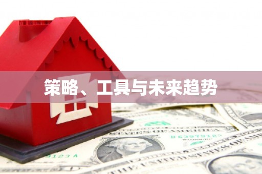 盘县策略、工具与未来趋势