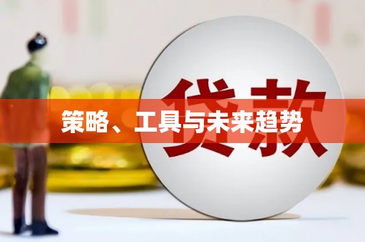 盘县策略、工具与未来趋势