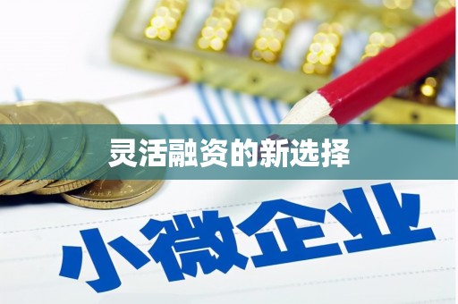 盘县灵活融资的新选择