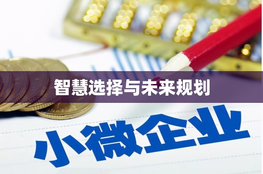 盘县智慧选择与未来规划
