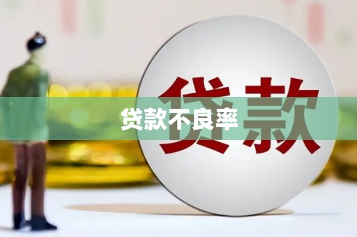 盘县贷款不良率