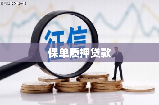 盘县保单质押贷款