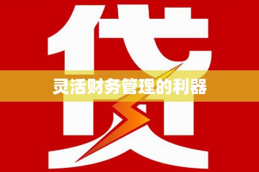 盘县灵活财务管理的利器