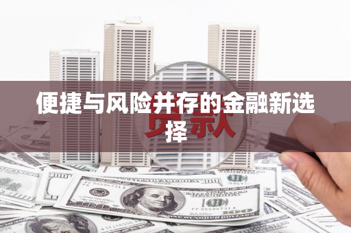 盘县便捷与风险并存的金融新选择