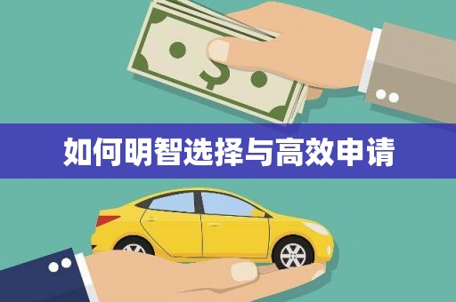 盘县如何明智选择与高效申请
