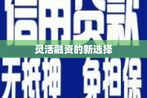 盘县灵活融资的新选择