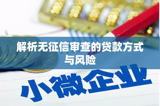 盘县解析无征信审查的贷款方式与风险