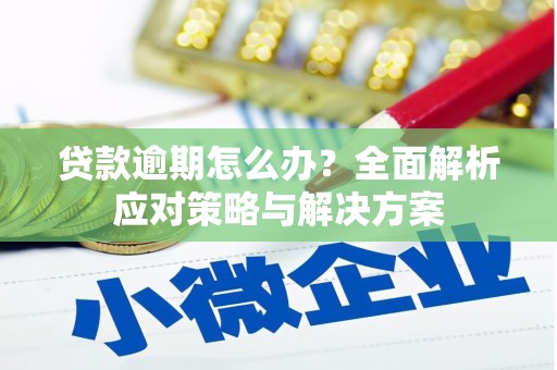 盘县贷款逾期怎么办？全面解析应对策略与解决方案