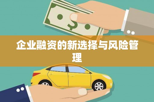 盘县企业融资的新选择与风险管理