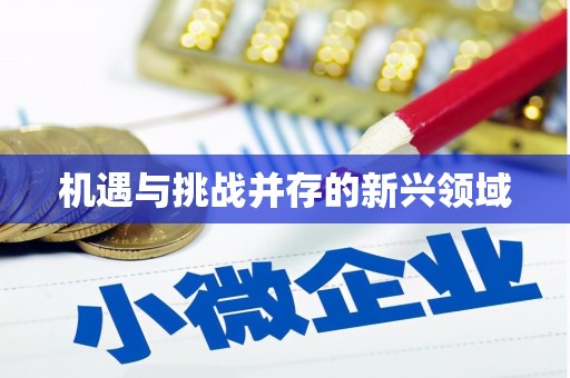 盘县机遇与挑战并存的新兴领域