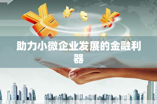 盘县助力小微企业发展的金融利器