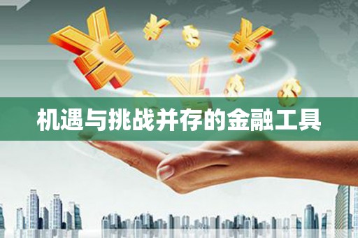 盘县机遇与挑战并存的金融工具