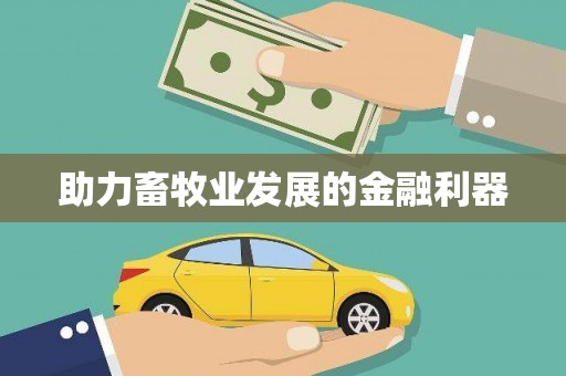盘县助力畜牧业发展的金融利器