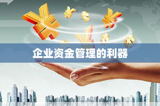盘县企业资金管理的利器
