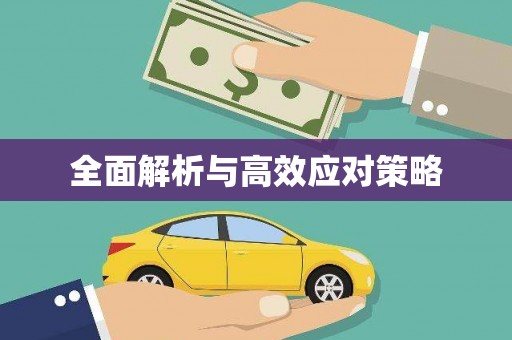 盘县全面解析与高效应对策略