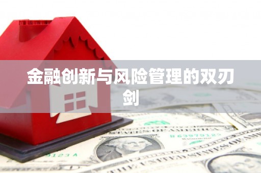 盘县金融创新与风险管理的双刃剑